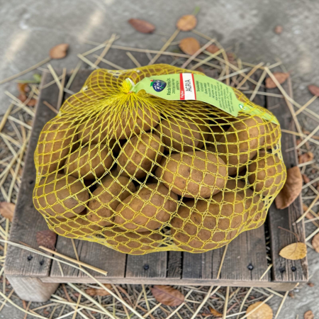 Cartofi de Samanta Agria Ungaria, 50 Minituberculi, Calibru 28-33 mm, Ideal pentru Prajit [2]