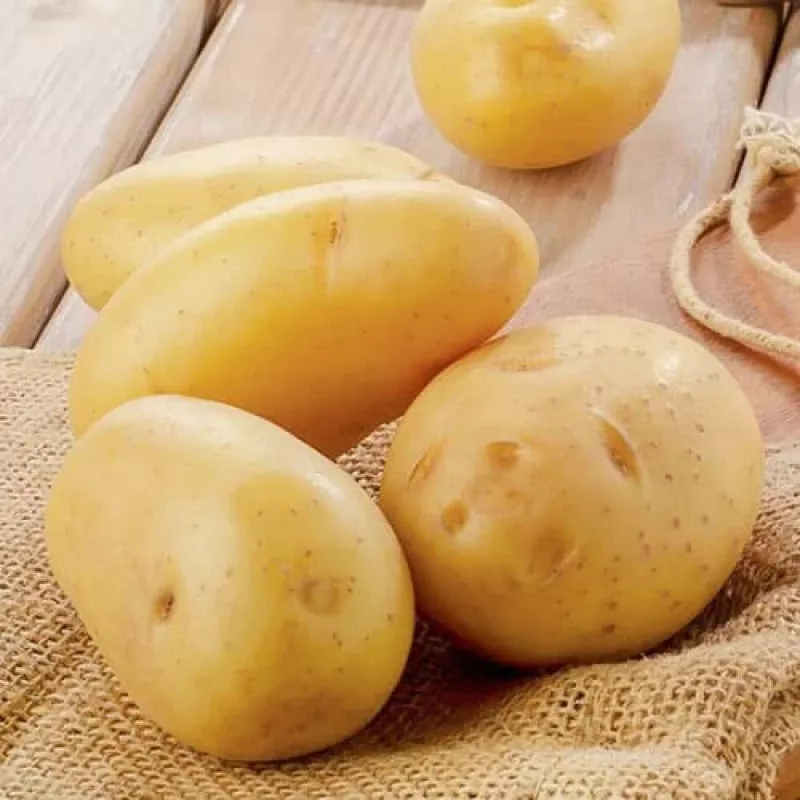 Cartofi de Samanta Albi Hind, Sac 5 kg, Clasa A, Calibru 28/35 mm, Productivitate Ridicata [2]