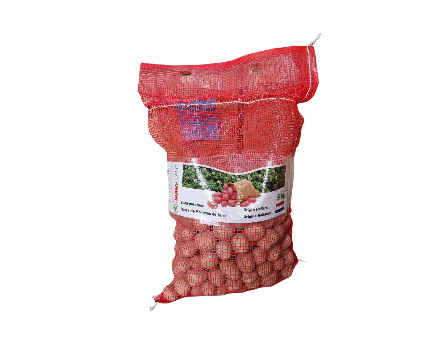 Seminte - Cartofi de sămânță Desiree - sac 25 kg - Clasa A - Calibru 28/35 - Olanda