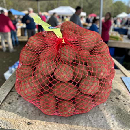 Cartofi de Samanta Desiree Ungaria, 50 Minituberculi, Calibru 28-33 mm, Coaja Rosie [1]
