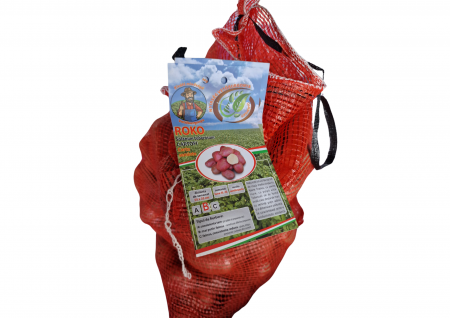 Seminte - Cartofi de sămânță Roko - Calibru 33/55 sac 10 kg