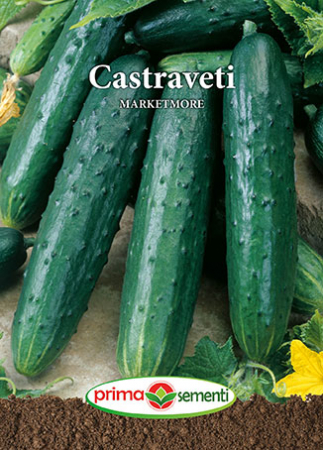 Seminte castraveti - Castraveti Marketmore 3 g