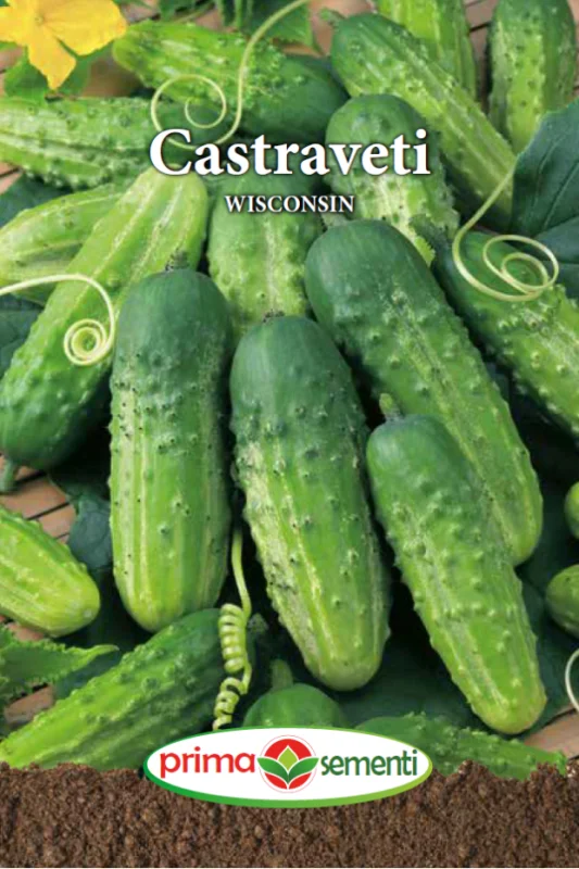 Seminte castraveti - Castraveti Wisconsin 4g – Rezistenti, Productivi, Perfecti pentru Conservat