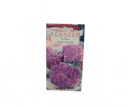 Seminte legume - Conopidă - Sicily Purple