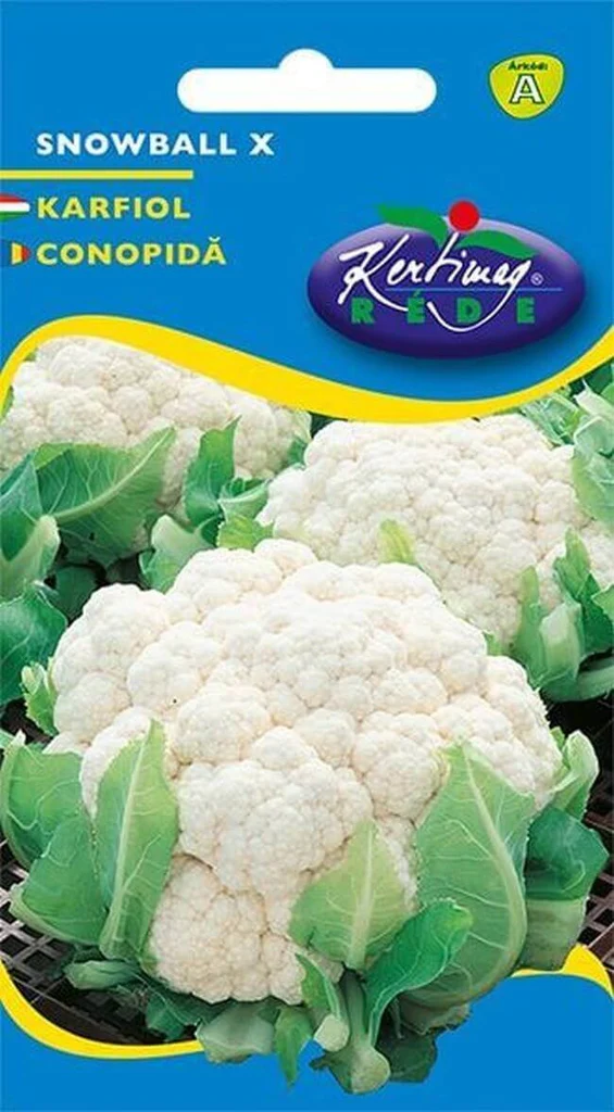 Seminte legume - Conopidă Snowball X