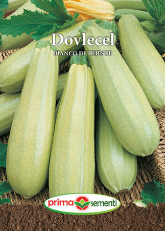 Seminte dovlecel - Dovlecel Bianco Di Trieste