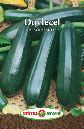 Seminte dovlecel - Dovlecel Black Beauty 3 g