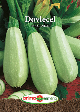 Seminte legume - Dovlecel Bolognese 4 g