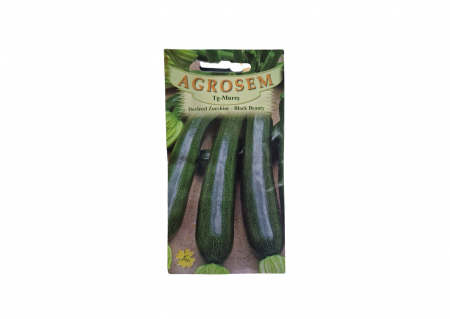 Seminte dovlecel - Dovlecel Zucchini- black Beauty