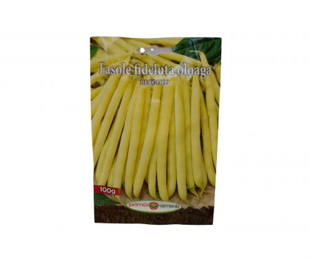 Seminte legume - Fasole fideluț oloagă - Bergold