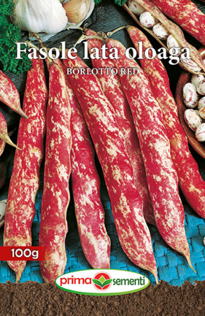 Seminte legume - Fasole lata oloaga Borlotto Red 100gr
