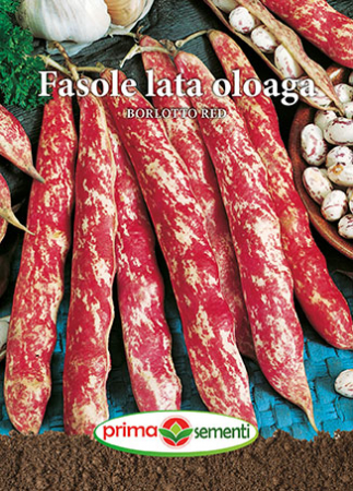 Seminte fasole - Fasole lata oloaga Borlotto Red