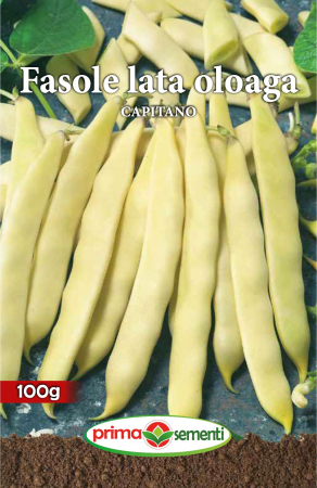 Seminte fasole - Fasole lata oloaga Capitano 100 g