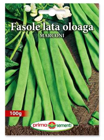 Seminte fasole - Seminte Fasole Lata Oloaga Marconi 100g - Soi Timpuriu Fara Ate