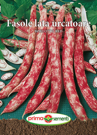 Seminte fasole - Fasole lata urcatoare Borlotto Red 10g