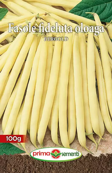 Seminte fasole - Fasole Oloaga Bergold 100g– Pastai Galbene, Fragede, Randament Excelent
