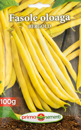 Seminte fasole - Fasole Oloaga Bergold 100g– Pastai Galbene, Fragede, Randament Excelent