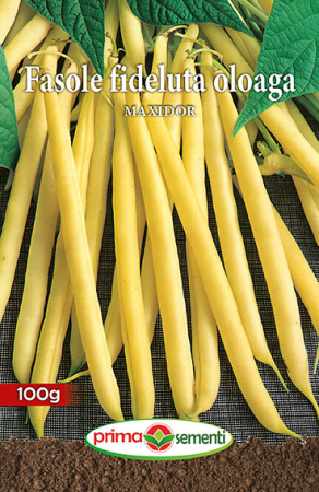 Seminte fasole - Fasole oloaga Maxidor 100g