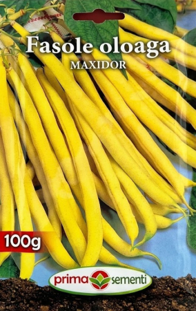 Seminte fasole - Seminte Fasole Oloaga Maxidor 100g - Soi Galben Pitic Fara Ate