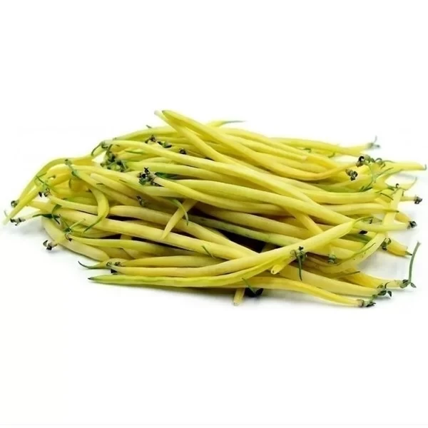 Seminte fasole - Fasole Pitica Berggold – Pastai Galbene, Fragede, Productie Ridicata 50g