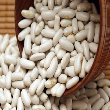 Seminte Fasole Pitica Cannellino 100g Agrosem - Fasole Alba de Calitate Superioara [1]