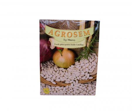Seminte fasole - Fasole pitică pentru boabe - Canellino 50g