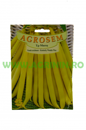 Seminte fasole - Fasole urcătoare Kentucky Wonder Wax