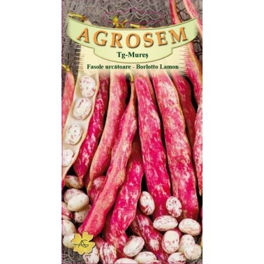 Seminte Fasole Urcatoare Borlotto Lamon 40g Agrosem - Productie Bogata de Boabe [4]