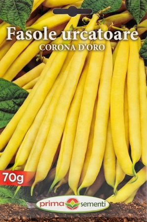 Seminte fasole - Fasole Urcatoare Corona d'Oro 70g – Pastai Mari, Galbene, Extra-Productive
