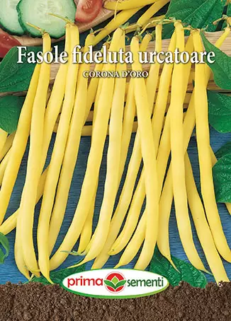 Seminte fasole - Fasole Urcatoare Corona d'Oro 70g – Pastai Mari, Galbene, Extra-Productive