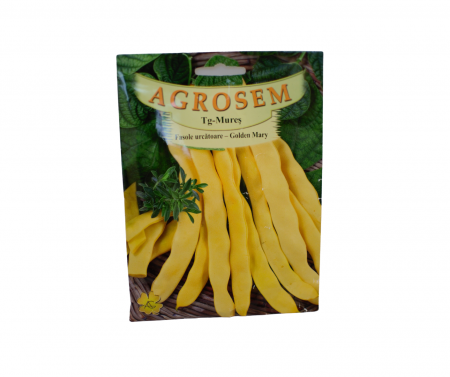 Seminte fasole - Fasole urcătoare - Golden Mary 50g