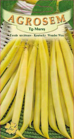 Seminte Fasole Urcatoare Kentucky Wonder Wax 40g Agrosem - Tecuta Galbena Delicioasa [1]