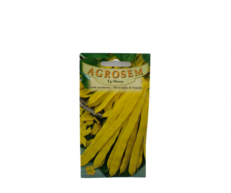 Seminte fasole - Fasole urcătoare - Meraviglia di Venezia 10g