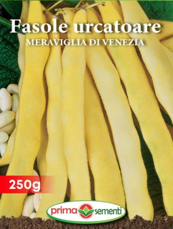 Seminte fasole - Fasole urcatoare Meraviglia Di Venezia- 250 g