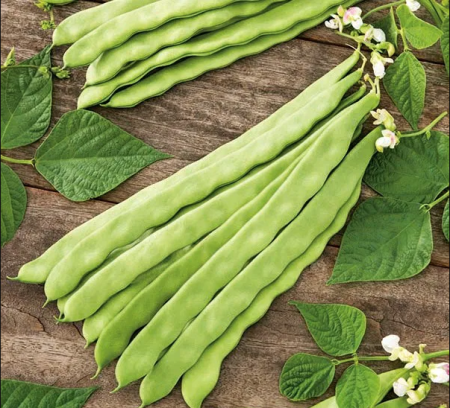 Seminte - Fasole Urcatoare Supermarconi – Pastai Lungi, Carnoase, Gust Dulce 30g