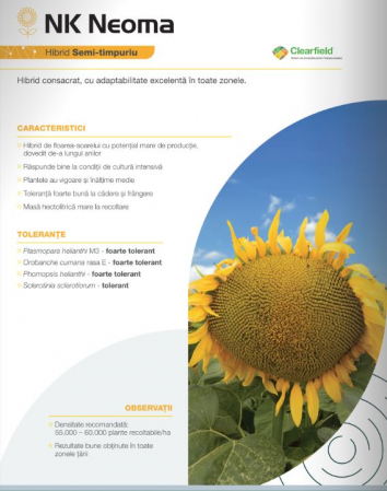 Floarea soarelui - Floarea Soarelui Syngenta Neoma (sac 150000 seminte)