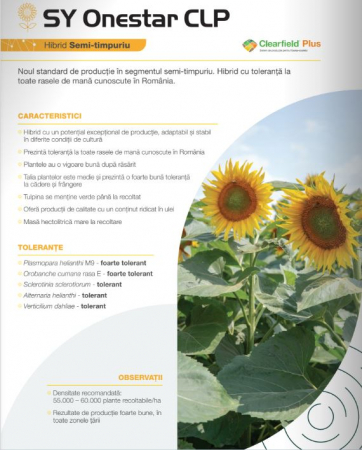 Floarea soarelui - Floarea Soarelui Syngenta Onestar (sac 150000 seminte)
