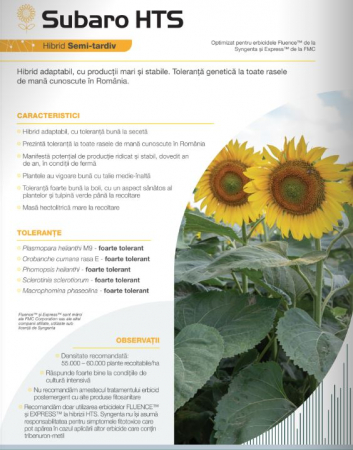 Floarea soarelui - Floarea Soarelui Syngenta Subaro HTS (sac 150000 seminte)