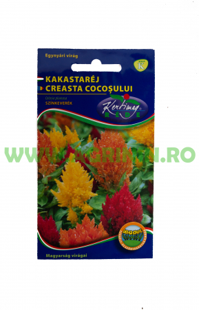 Seminte flori - Creasta Cocoșului- Kertimag