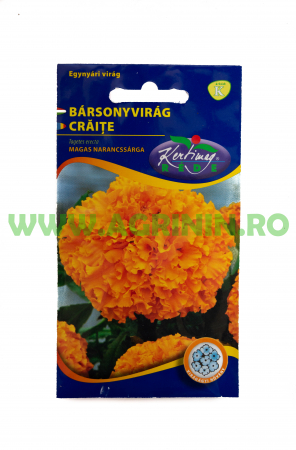 Seminte - Crăițe înalte portocalii- Kertimag