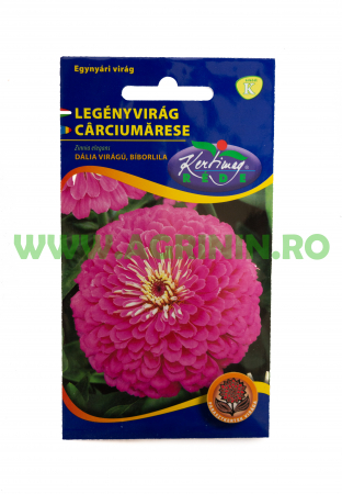 Seminte flori - Cârciumărese Violet