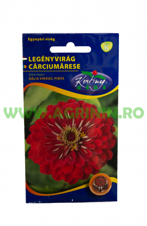 Seminte flori - Cârciumărese Roșii