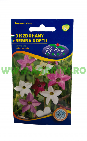 Seminte flori - Regina Nopții