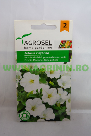 Seminte - Petunia Alb
