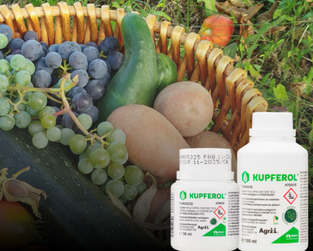 Fungicid Cupric Kupferol 100ml - Cupru Lichid pentru 20L Apa [1]