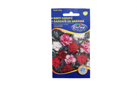 Seminte - Garoafa de gradina Grenadin / Dianthus caryophyllus Grenadin