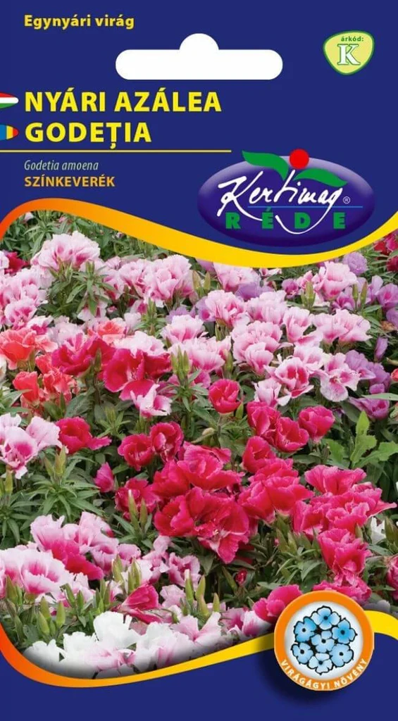 Seminte - Godetia Colorata – Flori Delicate, Aspect Romantic