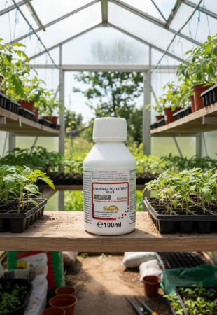 Insecticid Lambda-Cihalotrin Zebra 100ml, Tratament Soc de Contact pentru Gandacul de Colorado, Afide si Omizi [2]
