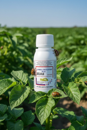 Insecticid Lambda-Cihalotrin Zebra 5 50ml, Tratament Soc de Contact pentru Gandacul de Colorado, Afide si Omizi [2]