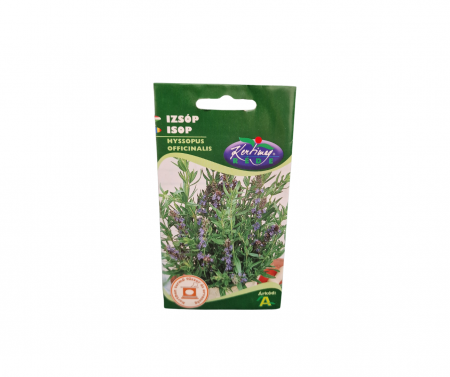 Seminte plante aromatice - Isop 1g